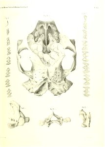 n474_w1150