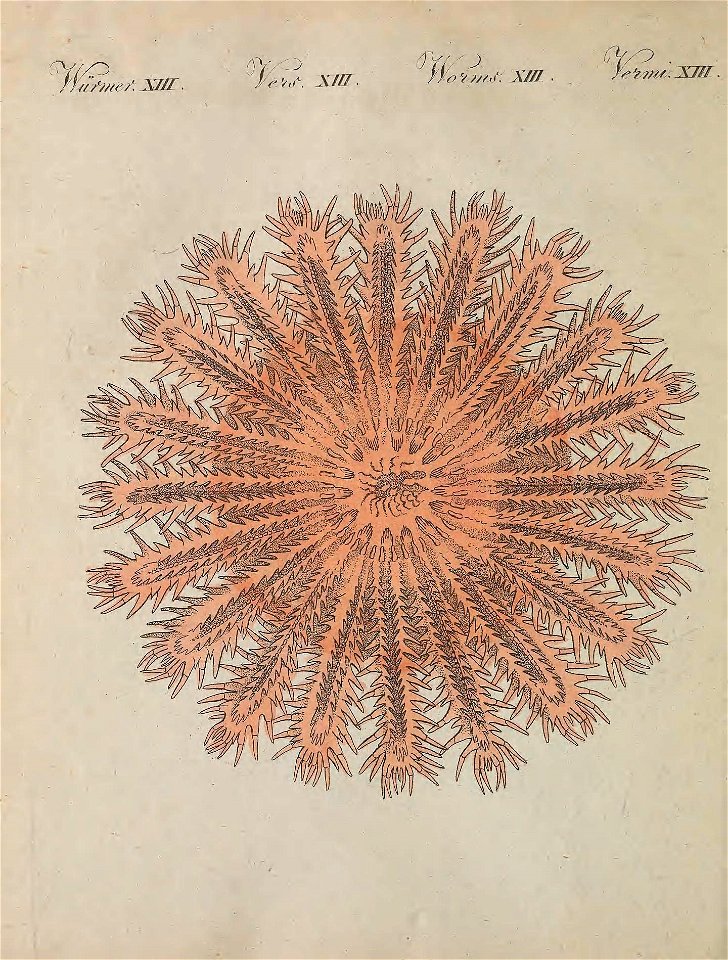 n195_w1150