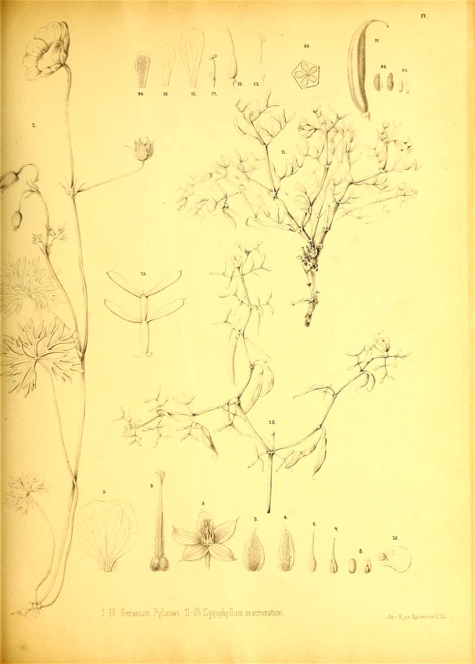 n174_w1150