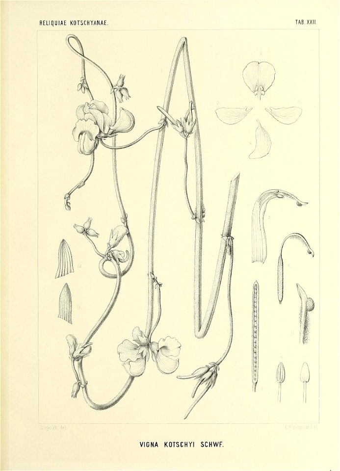 n576_w1150