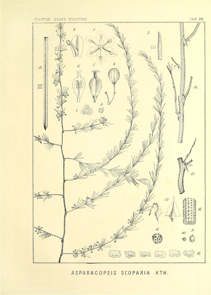 n92_w1150