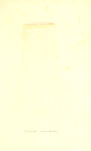 n778_w1150