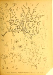 n202_w1150