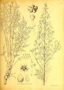 n172_w1150