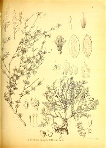 n142_w1150