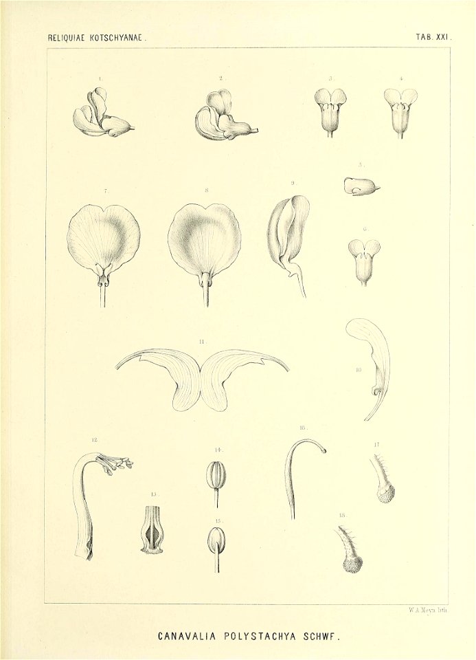 n574_w1150