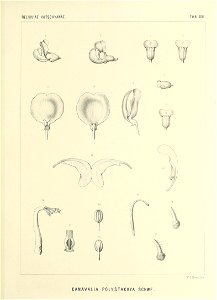 n574_w1150