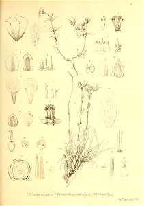 n170_w1150