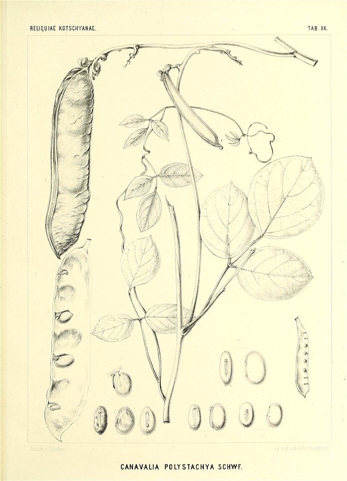n572_w1150
