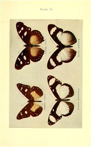 n178_w1150