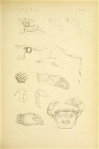 n602_w1150