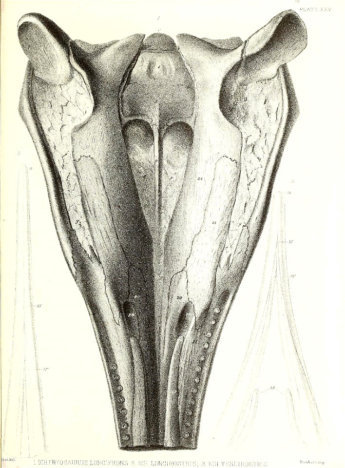 n404_w1150