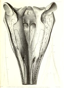 n404_w1150