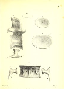 n234_w1150