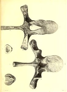 n110_w1150