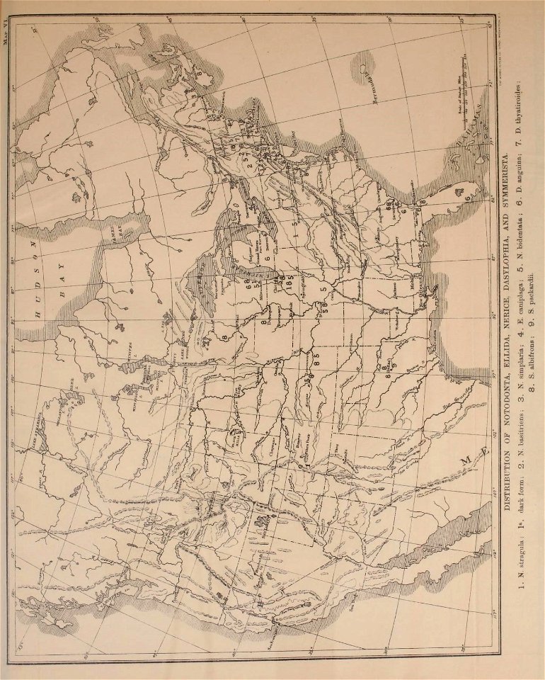 n514_w1150