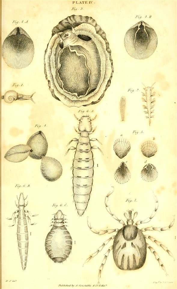 n494_w1150
