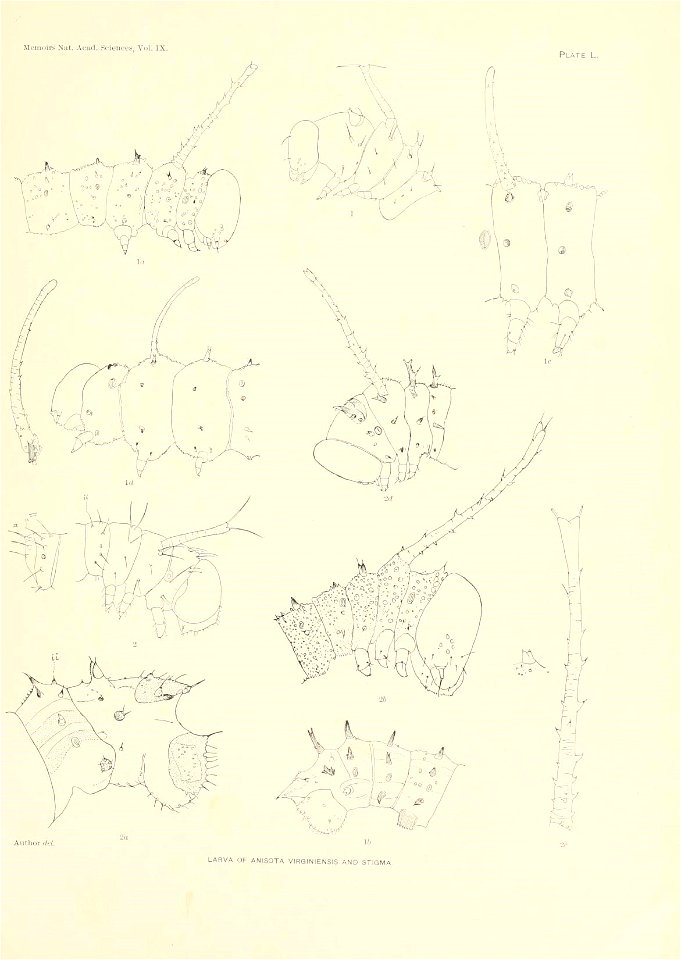 n356_w1150