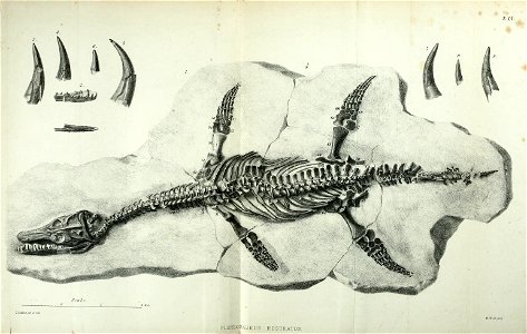 n230_w1150