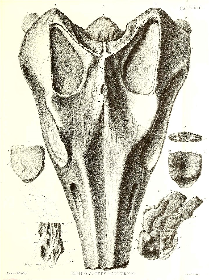 n396_w1150