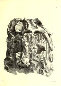 n102_w1150