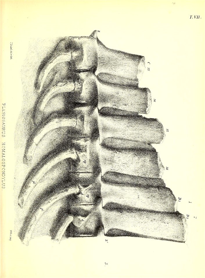 n218_w1150