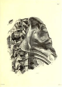 n98_w1150