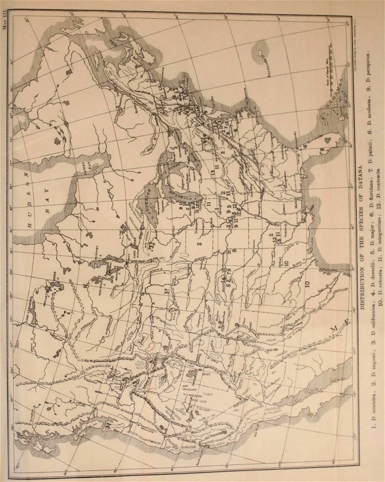 n502_w1150