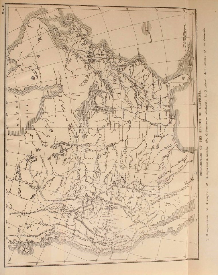 n498_w1150