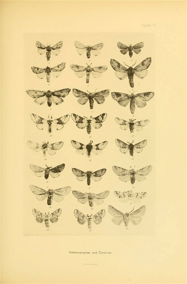 n320_w1150