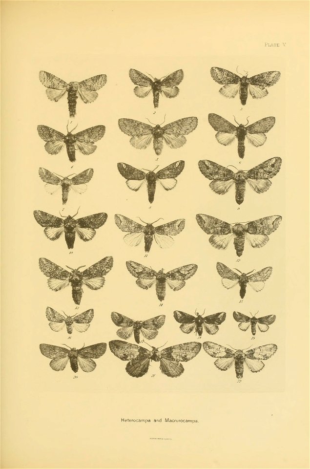 n316_w1150