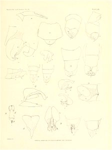 n396_w1150