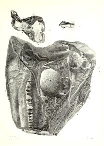 n54_w1150