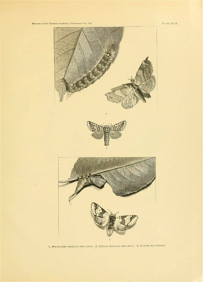n492_w1150