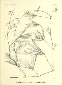 n580_w1150
