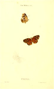 n13_w1150