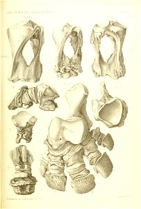 n512_w1150