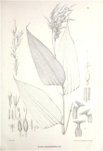 n450_w1150