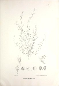n390_w1150