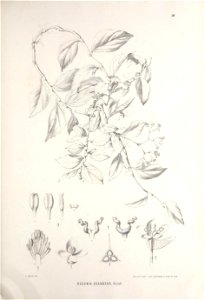 n360_w1150