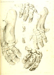n506_w1150
