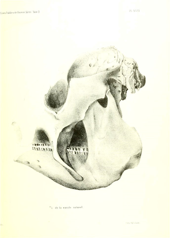 n472_w1150