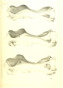 n504_w1150