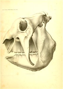 n436_w1150