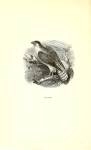 n101_w1150