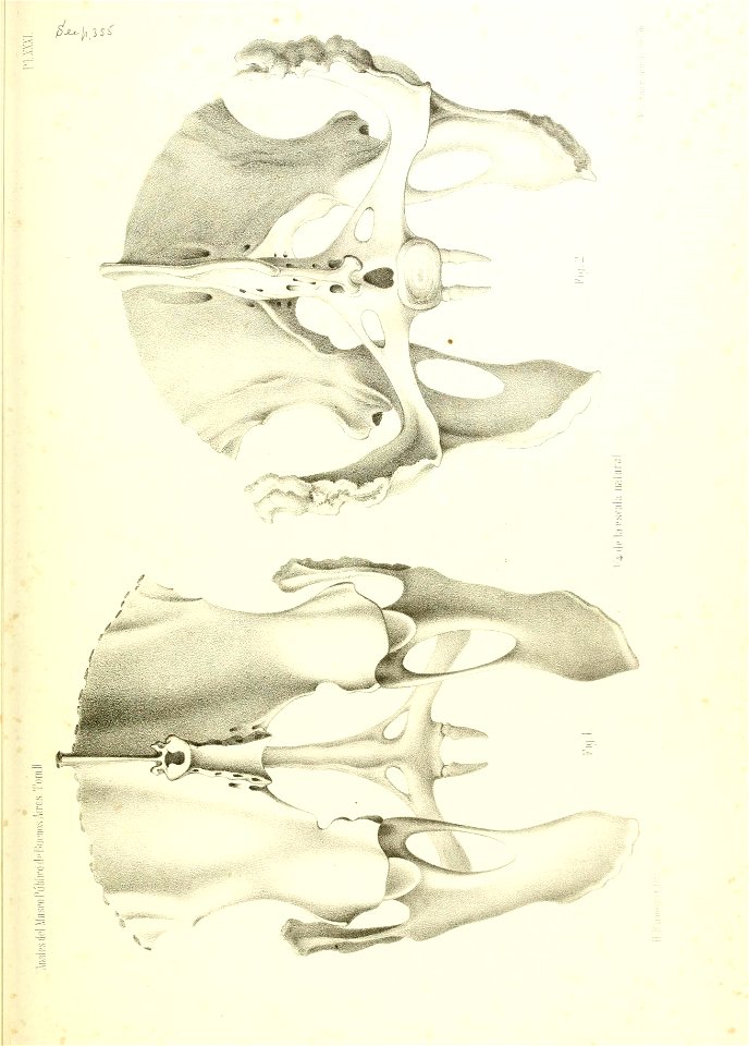 n502_w1150