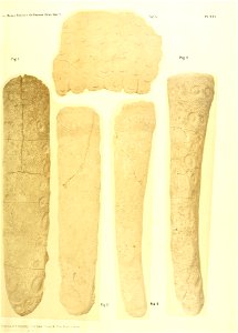 n466_w1150