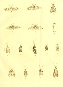 n130_w1150