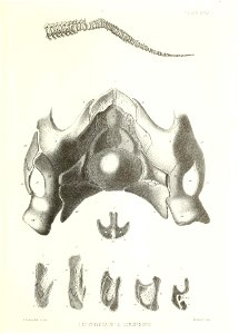 n408_w1150