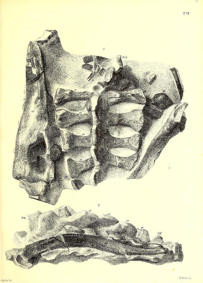 n114_w1150